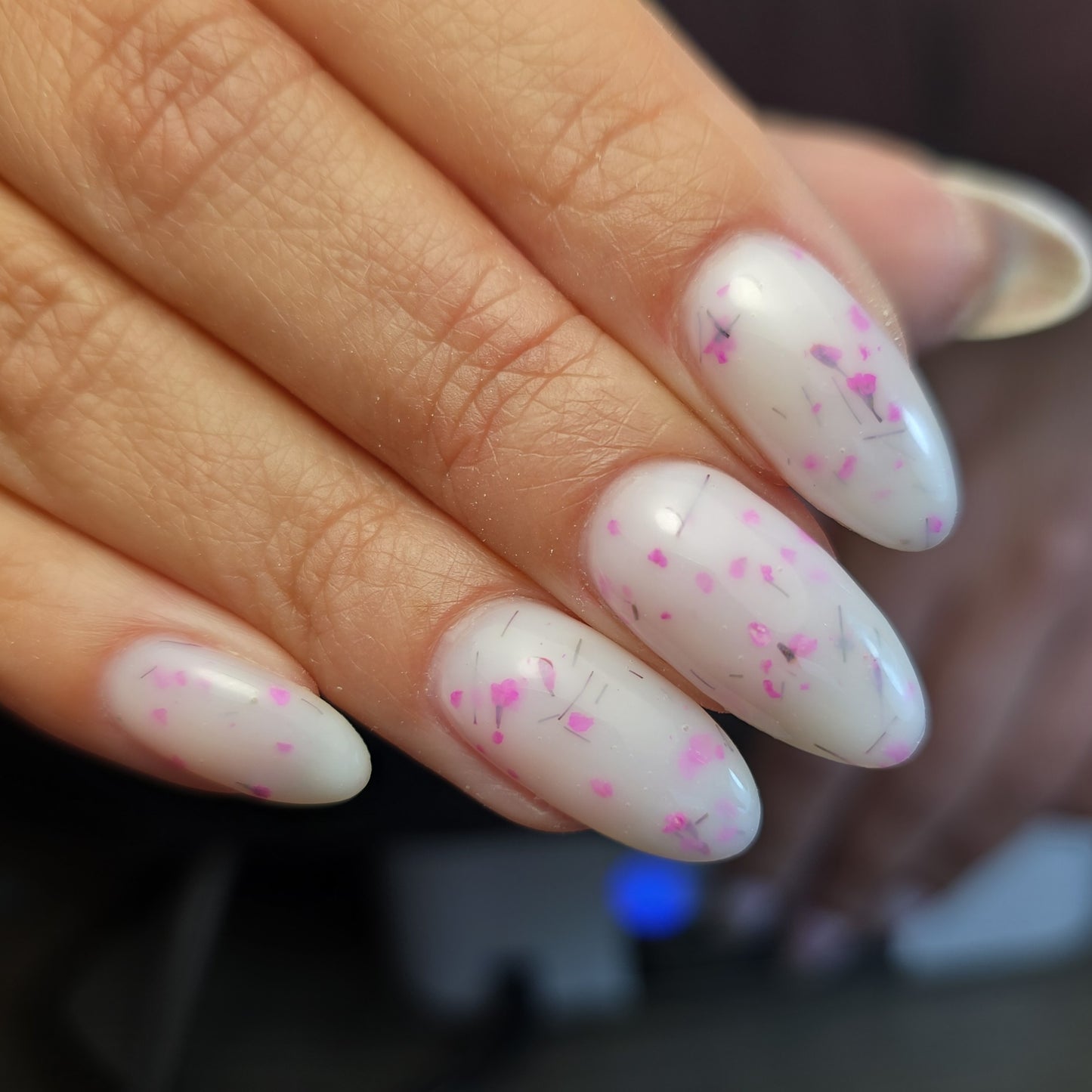 Urban Nails Flower builder Milky - 15 gram